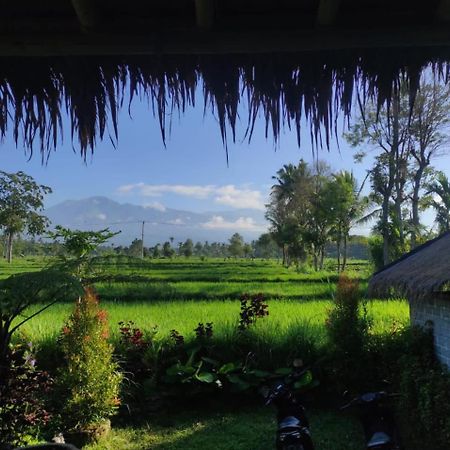 New Rinjani Homestay Tetebatu Exterior photo