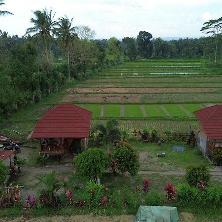 New Rinjani Homestay Tetebatu Exterior photo