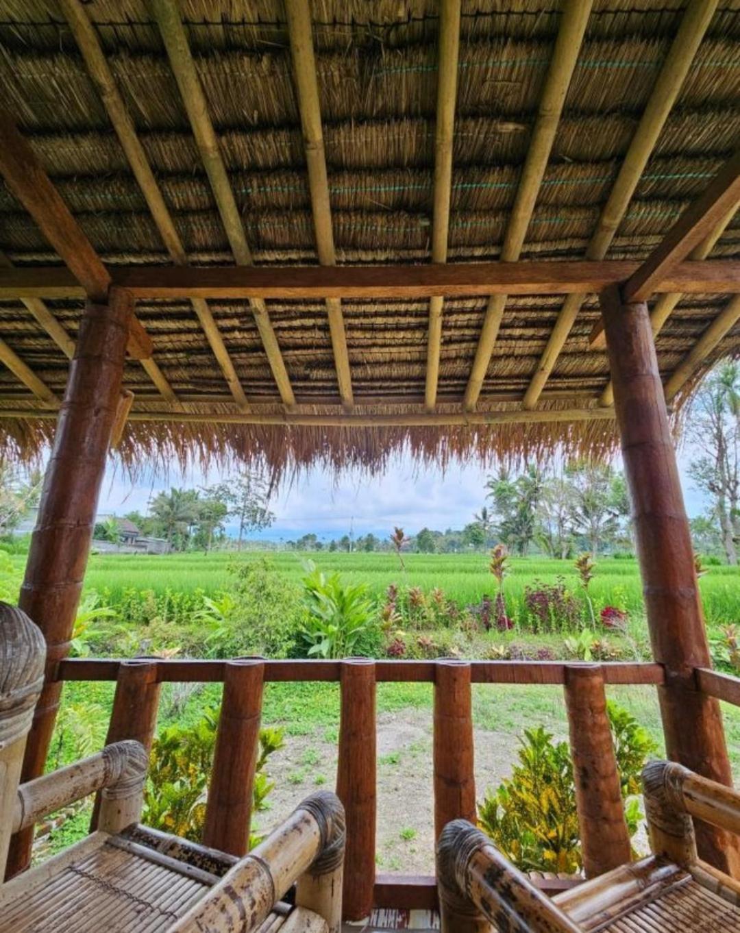 New Rinjani Homestay Tetebatu Exterior photo