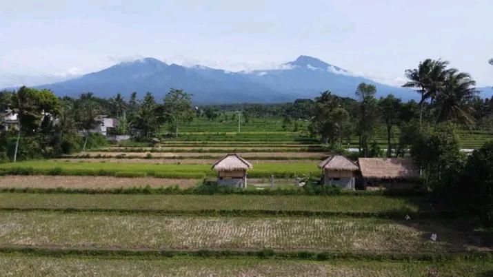 New Rinjani Homestay Tetebatu Exterior photo