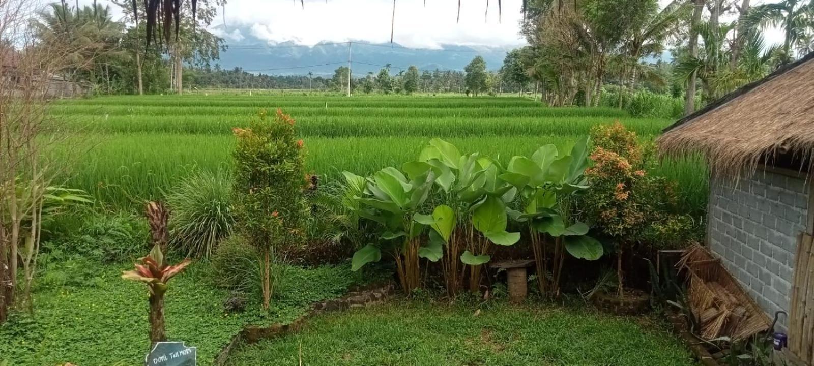 New Rinjani Homestay Tetebatu Room photo