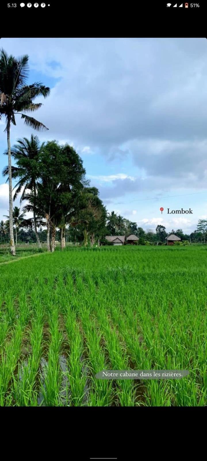 New Rinjani Homestay Tetebatu Room photo